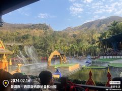 -西双版纳原始森林公园