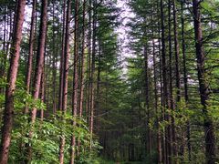 -秦岭风景区