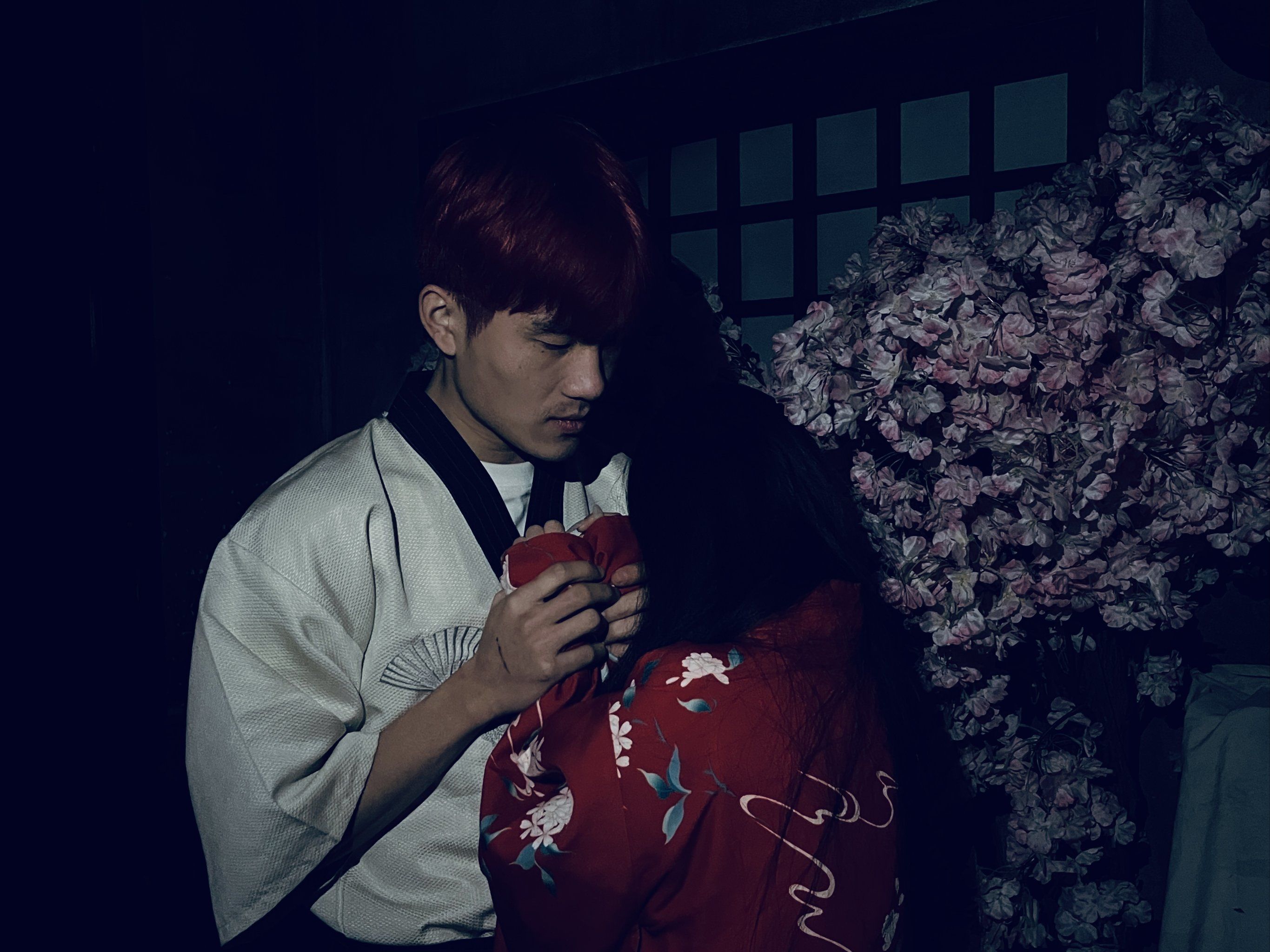 《樱之画祭》