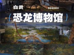 -自贡恐龙博物馆
