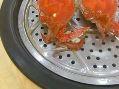 -海岛渔村大酒店(云霄路店)