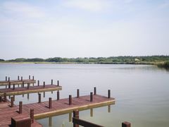 -西青郊野公园