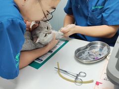 -伟伟宠物医院·CT影像中心·瑞派犬猫综合性门诊(汉口总院)