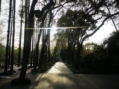 -上海醉白池公园