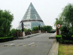 -上海市第一人民医院(松江南部)