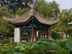-莲湖公园