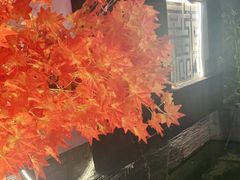 -毛辣果·贵州红酸汤牛肉火锅(西单店)