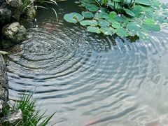 -东方艺术博物馆