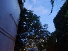 -伦教678文化街