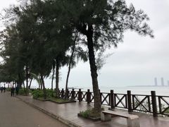 -万绿园
