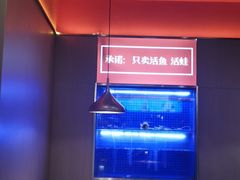 -蜀香三绝·牛蛙·烤鱼·天府炒鸡(安丘泰华店)
