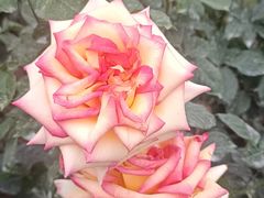 -人民公园(罗湖区)