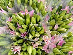 -三圣花乡旅游区