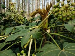 -河南省黄河迎宾馆