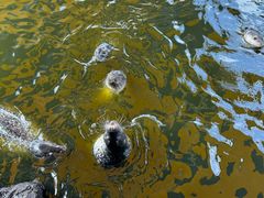 -华夏文旅西安度假区