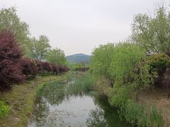 -石塘人家