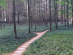 -河南省黄河迎宾馆