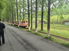 -黄海国家森林公园