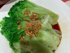 罗马生菜-西贝(金桥店)