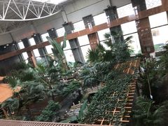 -陆地游轮吉林神农温泉