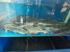 -回·龙虾铺·盆盆蟹·烧烤大排档(回龙观店)