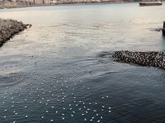 -海云台海滩