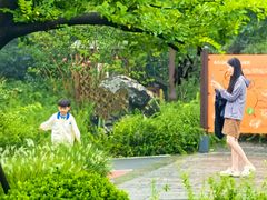 -太行锡崖沟旅游度假区
