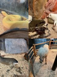 -Zoolung Zoolung动物主题公园(海信广场店)