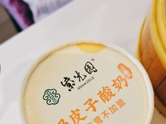 自制酸奶-紫光园(马桥店)
