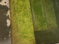 -嘉兴清池酒店温泉