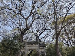 -平湖九龙山旅游度假区