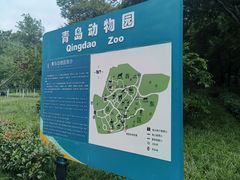 -青岛动物园