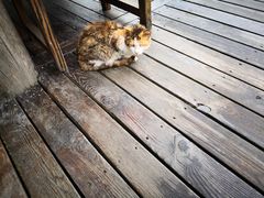 -白塘生态植物园