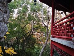 -汇龙潭