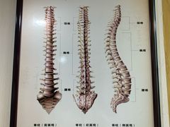 -脊艾堂推拿·艾灸(美年广场店)
