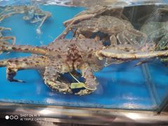 -盒马鲜生(大成店)