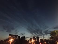 -上美四季动物农场