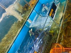 水产区-阿马蛋汤·宁波小海鲜(总店)