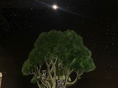-GOELIA歌莉娅(成都鹏瑞利青羊广场店)