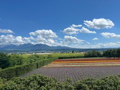 -富田农场