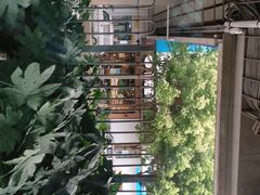 -皇冠幸福里动物奶油生日蛋糕(丹水池店)