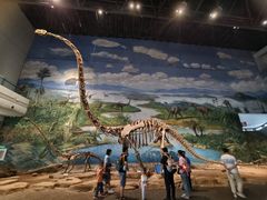 -自贡恐龙博物馆