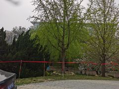 -元大都城垣遗址公园