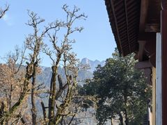 -九华山风景区