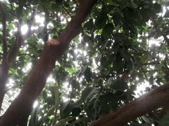 -国家植物园南园