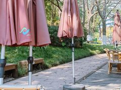 -成都市活水公园