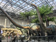 -国家自然博物馆