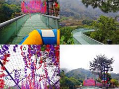 -广东天露山旅游度假区