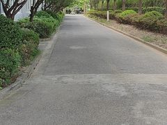 -影居starhoho·泳池别墅轰趴馆·天璇