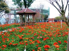 -绵阳盛世樱花悠乐谷